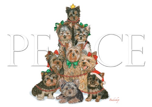 Picture of Pipsqueak Productions C544 Holiday Boxed Cards- Yorkshire Terriers
