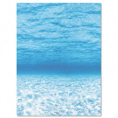 Picture of Pacon 56525 Fadeless Designs Bulletin Board Paper  Under Sea  Acid-Free  48   x 50  Rl