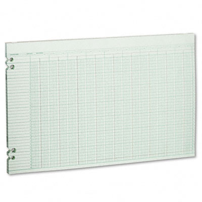 Picture of Wilson Jones G5030 Accounting Sheets  30 Columns  11 x 17  100 Loose Sheets Pack  GN