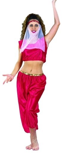 Picture of RG Costumes 81007-V Harem Girl Costume - Purple - Size Adult Standard