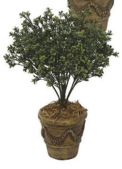 Picture of Autograph Foliages A-041 - 26 Inch Large Boxwood - Green
