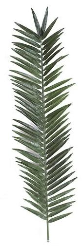 Picture of Autograph Foliages A-1191 - 88 Inch Giant Palm Branch - Green