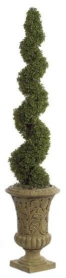 Picture of Autograph Foliages A-7010 - 5 Foot Spiral Boxwood Topiary - Green