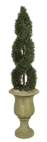 Picture of Autograph Foliages A-72000 - 4 Foot Double Spiral Cypress - Green