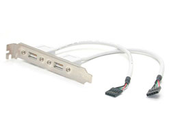 USBPLATE 2-Outlet USB Plate For PC Motherboards