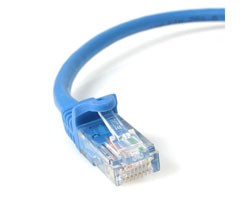 Picture of Startech RJ45PATCH15 15 ft Blue Snagless Category 5e- 350 MHz- UTP Patch Cable