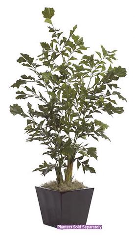 P-1570 - 6 Foot Fishtail Palm Tree - Green