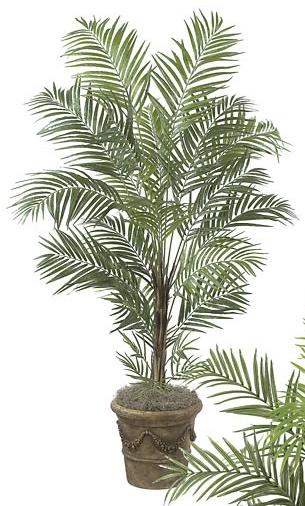 Picture of Autograph Foliages P-2670 - 7 Foot Deluxe Areca Palm Tree - Green