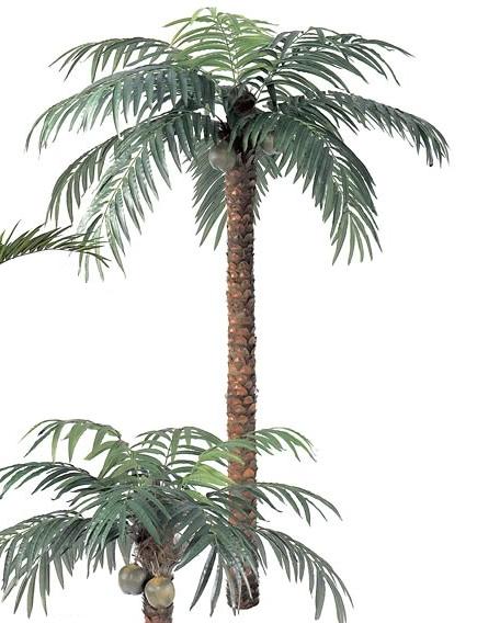 12 Foot Coconut Palm Tree - Green