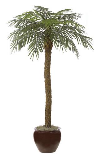 P-3602 - 8 Foot Date Palm Tree - Green