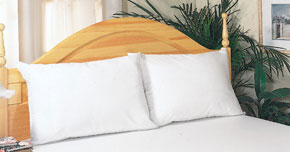 Picture of Pillow Cover Allergy Relief Standard-size - 30005