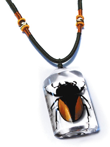 Real Bug Necklace-Stag beetle