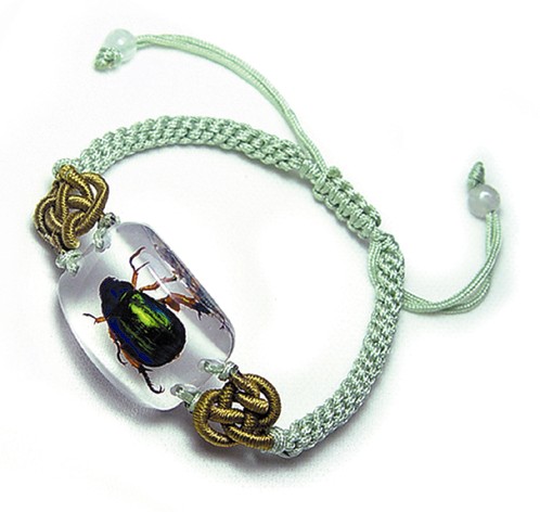 Real Bug Bracelet-Black & White Leaf Beetle