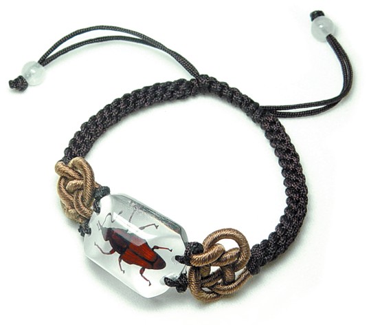 SL03 Real Bug Bracelet-Bamboo Weevil