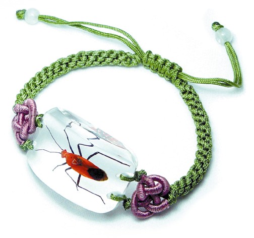Real Bug BraceletScarlet Plant Bug