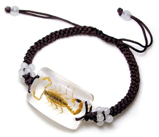 SL05 Real Bug Bracelet-Scorpion