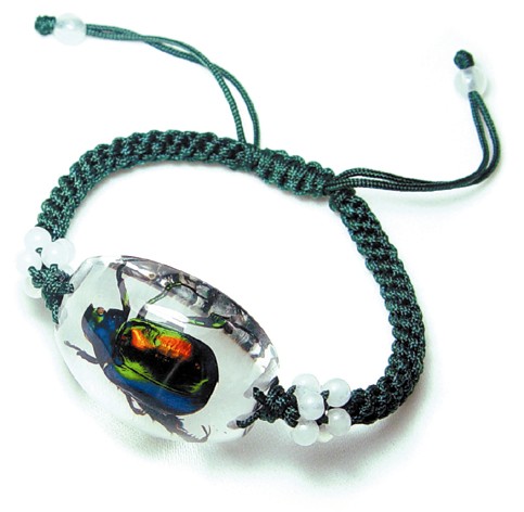 Real Bug Bracelet-Chafer Beetle