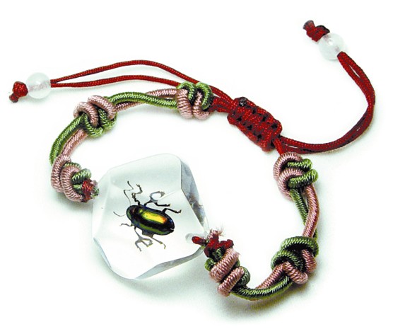 SL07 Real Bug Bracelet-Shining Beetle