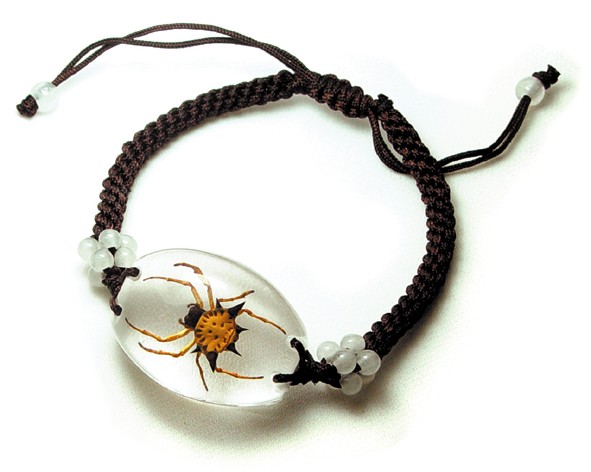 Real Bug Bracelet-Spiny Spider