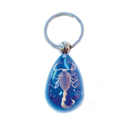 Real Bug Key Chain-Scorpion-Water Drop Shape-Clear Blue