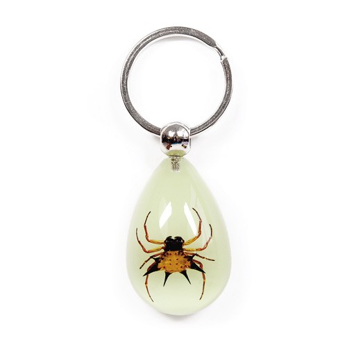 Real Bug Key Chain-Tear Drop Shape-Glow in the Dark-Spiny Spider