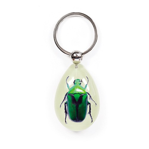 Real Bug Key Chain-Tear Drop Shape-Glow in the Dark-Green Chafer Beetle