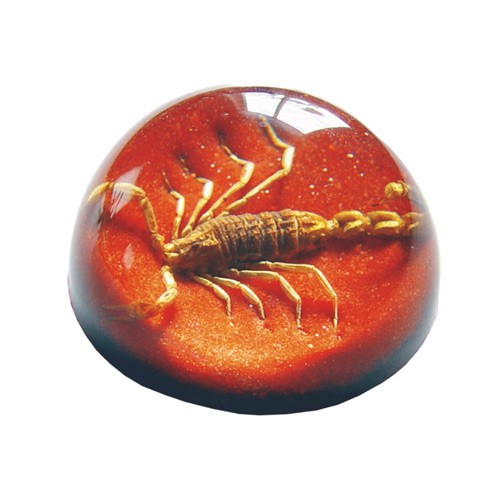 TC201 Real Bug Terrain-Medium-Scorpion-Red Background
