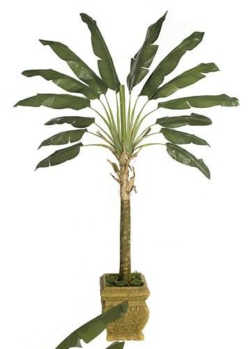 Autograph Foliages P-70330-6 Foot Traveller Palm Tree - Green