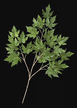 Picture of Autograph Foliages PR-004G - 28 Inch Fire Retardant Rock Maple Branch - Green - Dozen