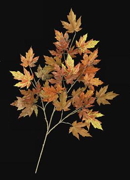 Picture of Autograph Foliages PR-004OR - 28 Inch Fire Retardant Rock Maple Branch - Orange-Rust - Dozen