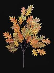 Picture of Autograph Foliages PR-4692 - 29 Inch Fire Retardant Pin Oak Branch - Orange - Dozen