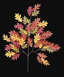 Picture of Autograph Foliages PR-4694 - 29 Inch Fire Retardant Pin Oak Branch - Red-Orange - Dozen