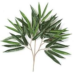 Picture of Autograph Foliages PR-85570 - 25 Inch Fire Retardant Weeping Ficus Branch - Green - Dozen