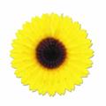 Beistle - 50276 - Sunflower Fan- Pack of 12 Beistle - 50276 - Sunflower Fan- Pack of 12