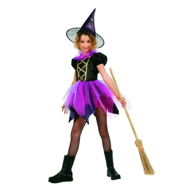 RG Costumes 91415-L Witch Of Fairyland Costume - Size Child Large 12-14