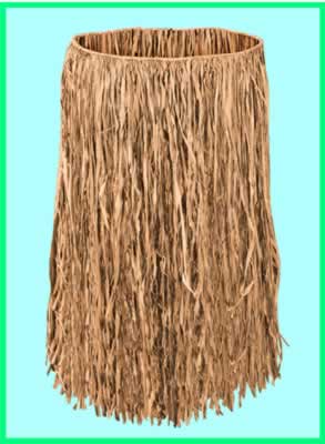Picture of Beistle - 50430-N - Adult Raffia Hula Skirt- Pack of 12