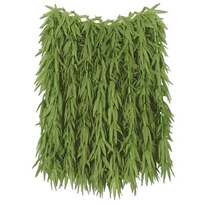 Picture of Beistle - 50456 - Tropical Fern Leaf Hula Skirt - Pack of 6