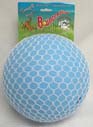 Picture of 8 Inch Bounce-N-Play Ball - Light Blue  - 2508BB