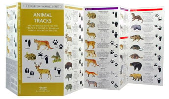 Picture of Waterford Press WFP1583550724 Animal Tracks Book