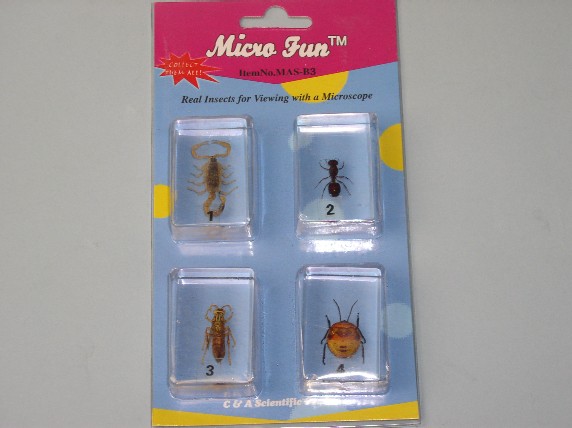 Picture of C And A Scientific MAS-B3 4 Piece Bug set