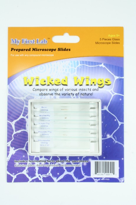 Picture of C And A Scientific PS55 Wicked Wings - 5 Piece Slide Set