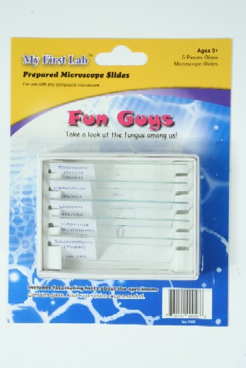 C And A Scientific  Fun Guys - 5 Piece Slide Set