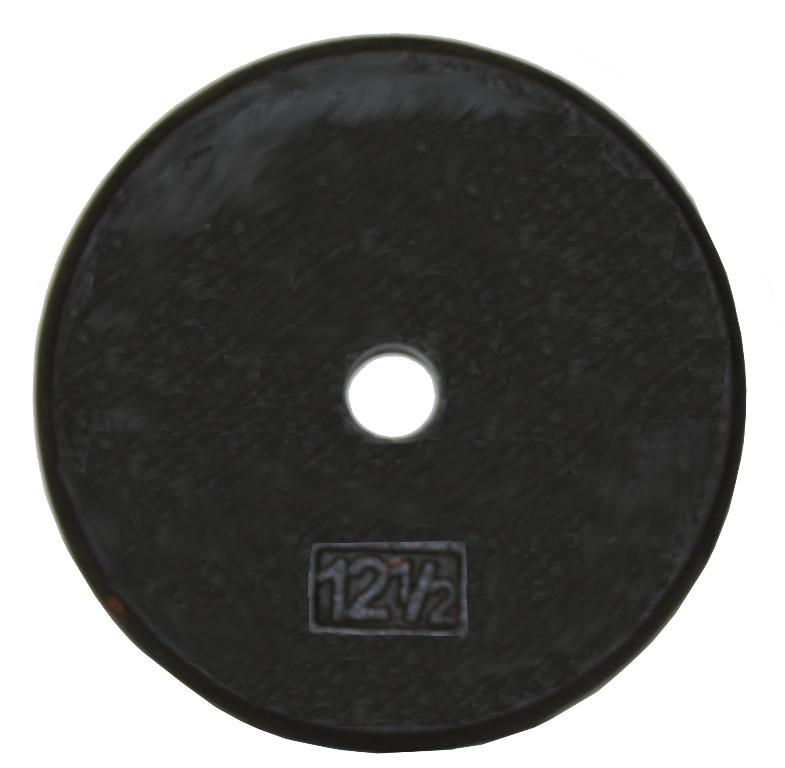 Troy Barbell BR-012 Regular Black 1 Inch Weight Plate - 12.5 Pounds