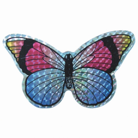 Picture of Clark Collection CC52069 Small Multi-Colored Butterfly Door Screen Saver