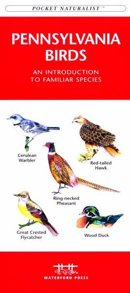 Picture of Waterford Press WFP1583550090 Pennsylvania Birds Book