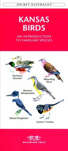 Picture of Waterford Press WFP1583550472 Kansas Birds Book: An Introduction to Familiar Species (State Nature Guides)
