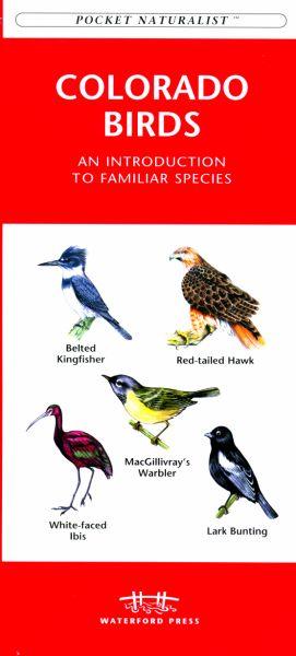 Picture of Waterford Press WFP1583550687 Colorado Birds Book: An Introduction to Familiar Species (State Nature Guides)