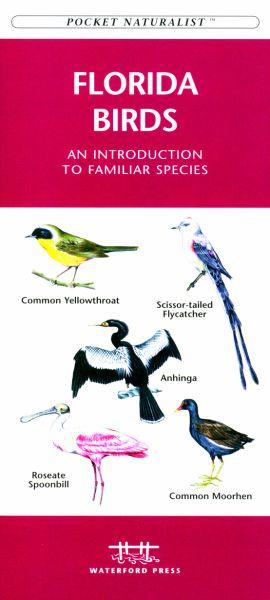 Picture of Waterford Press WFP1583551059 Florida Birds Book: An Introduction to Familiar Species (State Nature Guides)