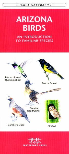 Picture of Waterford Press WFP1583551073 Arizona Birds Book: An Introduction to Familiar Species (State Nature Guides)