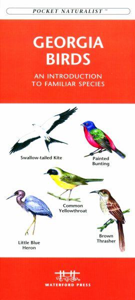 Picture of Waterford Press WFP1583551103 Georgia Birds Book: An Introduction to Familiar Species